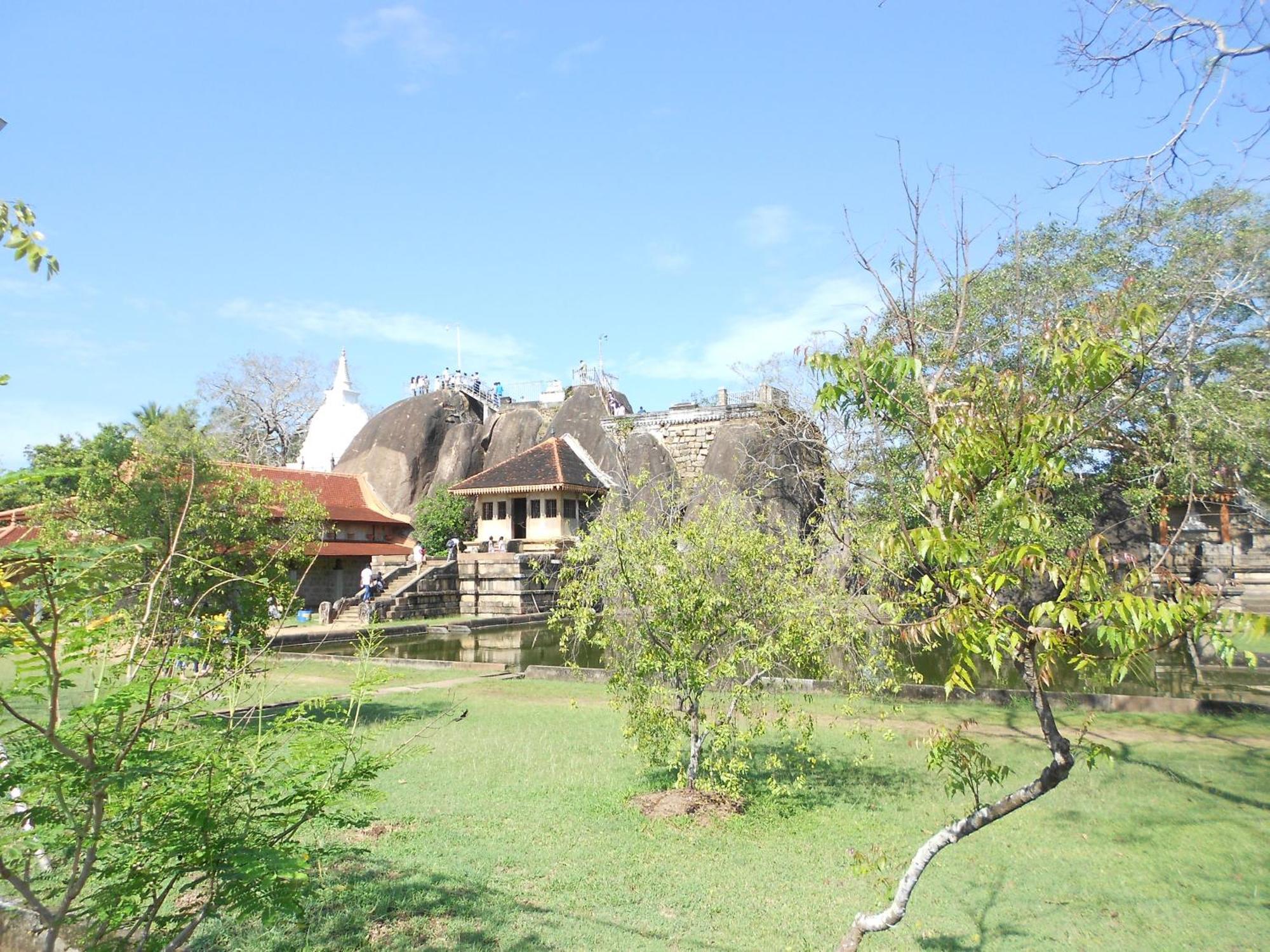 Shanith Guesthouse نيجومبو المظهر الخارجي الصورة